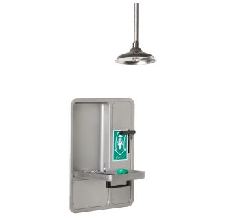 Haws 8356 Fully Recessed Combination Shower
